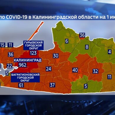 Названы города Калининградской области, где выявили больше всего инфицированных