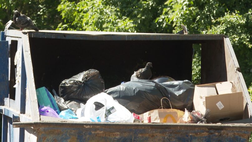Сотрудники «Чистоты» вывезли почти 200 тонн мусора с улицы Емельянова