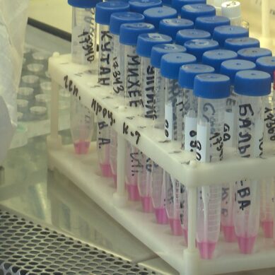 За последние сутки в области подтверждено 19 случаев коронавируса