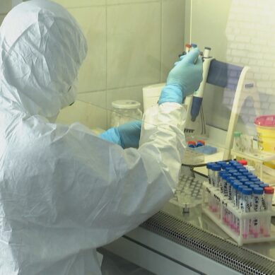 В Калининграде выявили коронавирус у приехавшего из Новокузнецка