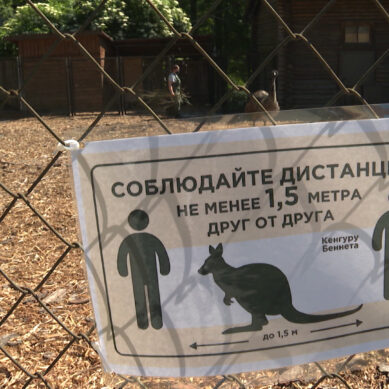 Калининградский зоопарк открыл свои двери для посетителей