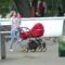 Жители Калининградской области стали меньше тратить деньги на детские коляски