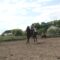 Представители калининградского конного спорта возобновили занятия, соблюдая все необходимые рекомендации