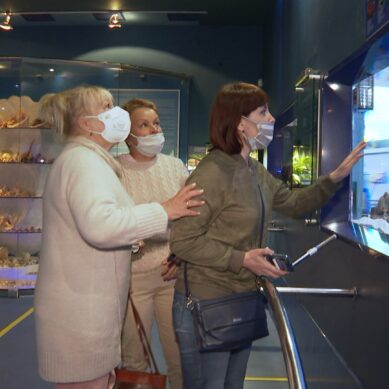 Территория с уникальной историей: с открытием музеев Калининградская область вызвала интерес у гостей