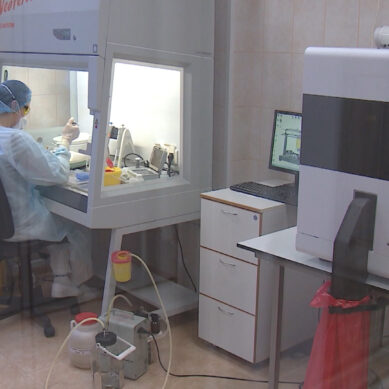 В Калининграде выявили коронавирус у пациента, вернувшегося из Литвы