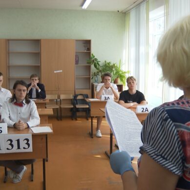 В Калининградской области 15 выпускников получили 100 баллов на ЕГЭ по русскому языку