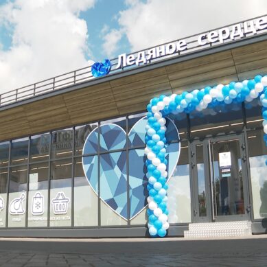 В Калининграде открылась сеть магазинов замороженных продуктов «Ледяное сердце»