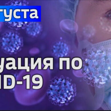 За сутки в Калининградской области подтвердили четыре случая коронавируса