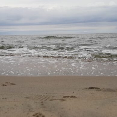 На пляже в Светлогорске отдыхающие обнаружили утонувшего мужчину