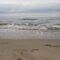 На пляже в Светлогорске отдыхающие обнаружили утонувшего мужчину