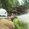 Сотрудники Управления лесного хозяйства Минобороны России отмечают 5-летний юбилей