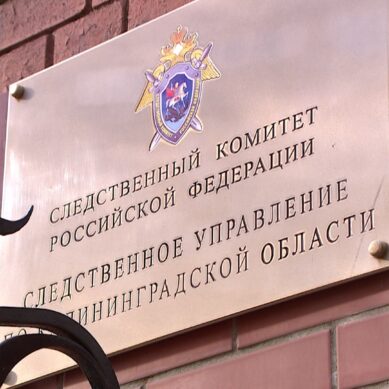 Житель Калининграда признан виновным в совершении преступлений против половой неприкосновенности несовершеннолетних и распространению порнографии
