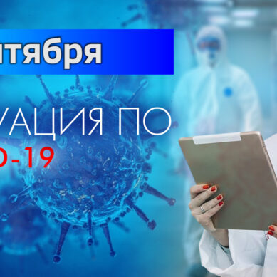 За последние сутки в Калининградской области подтвердили 16 случаев коронавируса