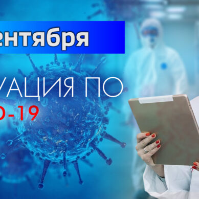 За последние сутки в Калининградской области подтвердили 29 случаев коронавируса