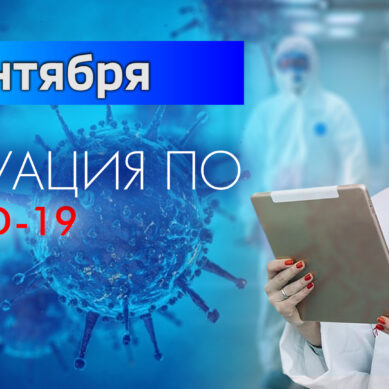 За последние сутки в Калининградской области подтвердили 17 случаев коронавируса