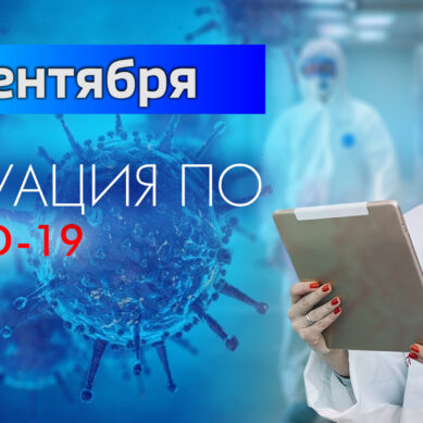 За последние сутки в Калининградской области подтвердили 34 случая коронавируса