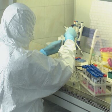 За последние сутки в Калининградской области подтвердили 18 случаев коронавируса