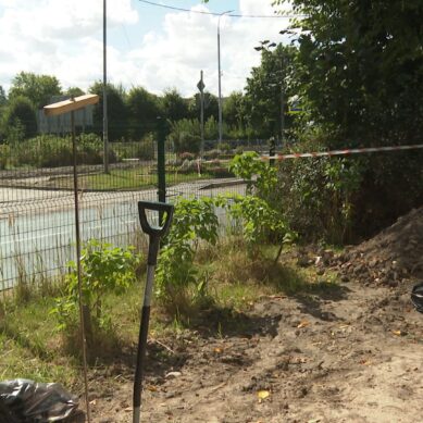 В Нивенском возле школы найдены останки красноармейцев