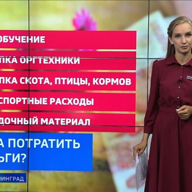 Правительство РФ расширило список товаров, которые можно купить в рамках соцконтракта