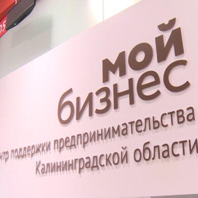 На выплаты микрозаймов предпринимателям дополнительно направлено почти 370 млн рублей