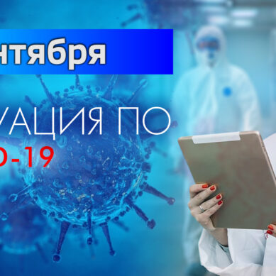 За последние сутки в Калининградской области подтвердили 25 случаев коронавируса