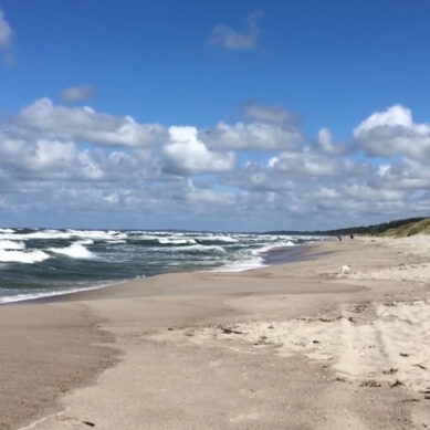 Температура воды в Балтийском море у побережья Калининградской области выше, чем на юге страны