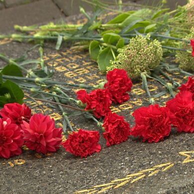 В Калининградской области перезахоронили останки трёх артиллеристов, погибших в годы ВОВ