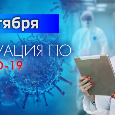 За последние сутки в Калининградской области подтвердили 59 случаев коронавируса
