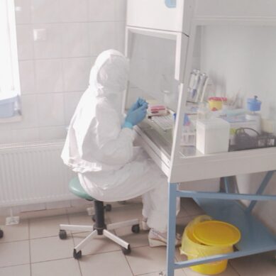 В Калининградской области коронавирус выявили у кондуктора и кассира в магазине