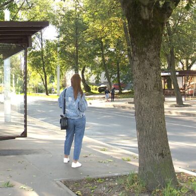 В Калининграде до конца сентября смонтируют полтора десятка остановочных павильонов