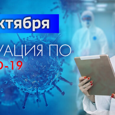 За последние сутки в Калининградской области подтвердили 94 случая коронавируса