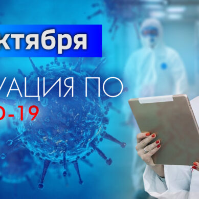 За последние сутки в Калининградской области подтвердили 90 случаев коронавируса