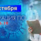 За последние сутки в Калининградской области подтвердили 101 случай коронавируса