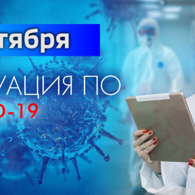 За последние сутки в Калининградской области подтвердили 76 случаев коронавируса