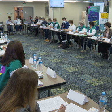 Калининградские волонтёры делятся опытом с добровольцами из других регионов страны