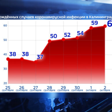 В Калининградской области зарегистрировано рекордное число инфицированных COVID-19 за сутки