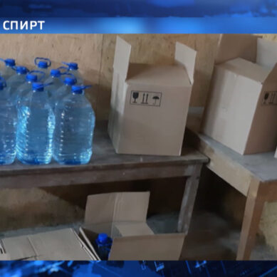 В гараже безработной жительницы области полицейские обнаружили алкоголь сомнительного производства