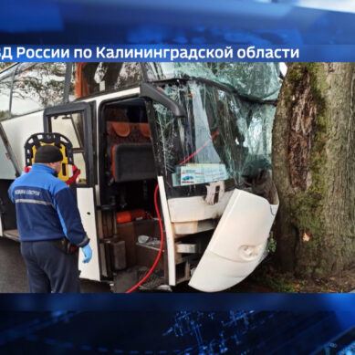 На Люблинском шоссе водитель автобуса врезался в дерево