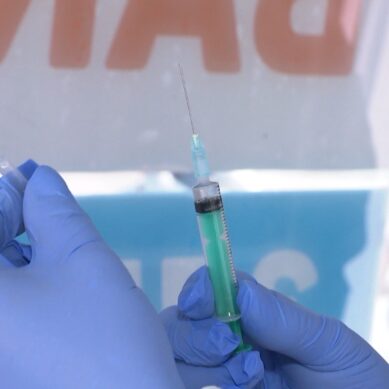 Больше 250 тысяч жителей Калининградской области сделали прививки от гриппа