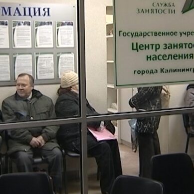 В Калининградской области к общественным работам приступили 149 безработных