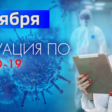 За последние сутки в Калининградской области подтвердили 135 случаев коронавируса