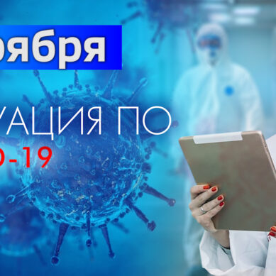 За последние сутки в Калининградской области подтвердили 151 случай коронавируса