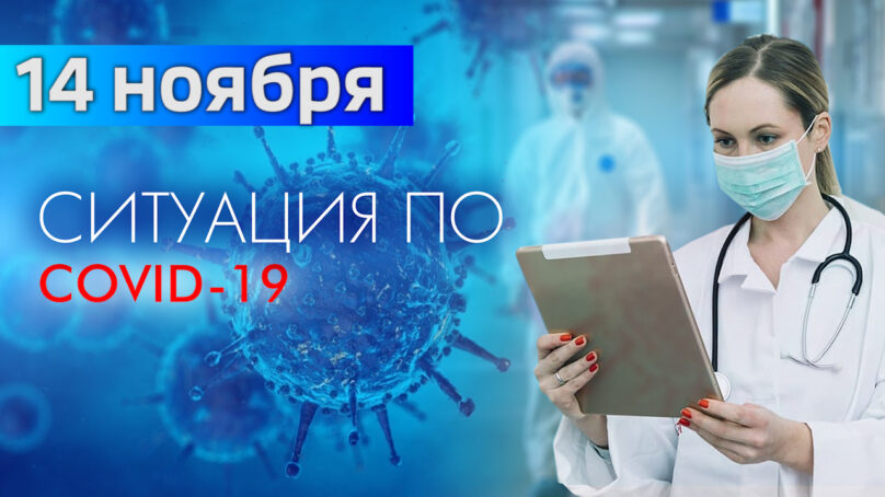 За последние сутки в Калининградской области подтвердили 151 случай коронавируса
