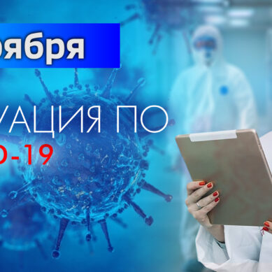 За последние сутки в Калининградской области подтвердили 155 случаев коронавируса
