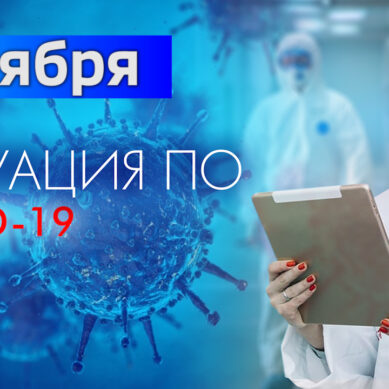 За последние сутки в Калининградской области подтвердили 111 случаев коронавируса
