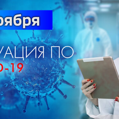 За последние сутки в Калининградской области подтвердили 173 случая коронавируса