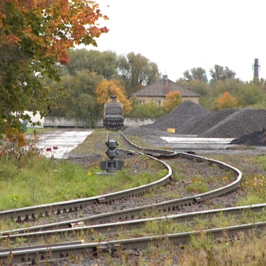 На Калининградской железной дороге планируют создать экологический совет