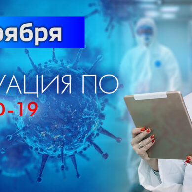 За последние сутки в Калининградской области подтвердили 191 случай коронавируса