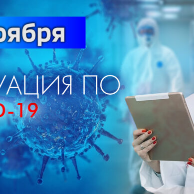 За последние сутки в Калининградской области подтвердили 185 случаев коронавируса