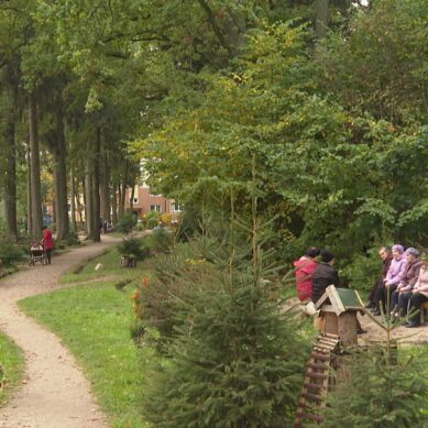 «Тропа здоровья»: В Чкаловске местные жители создали мини-парк